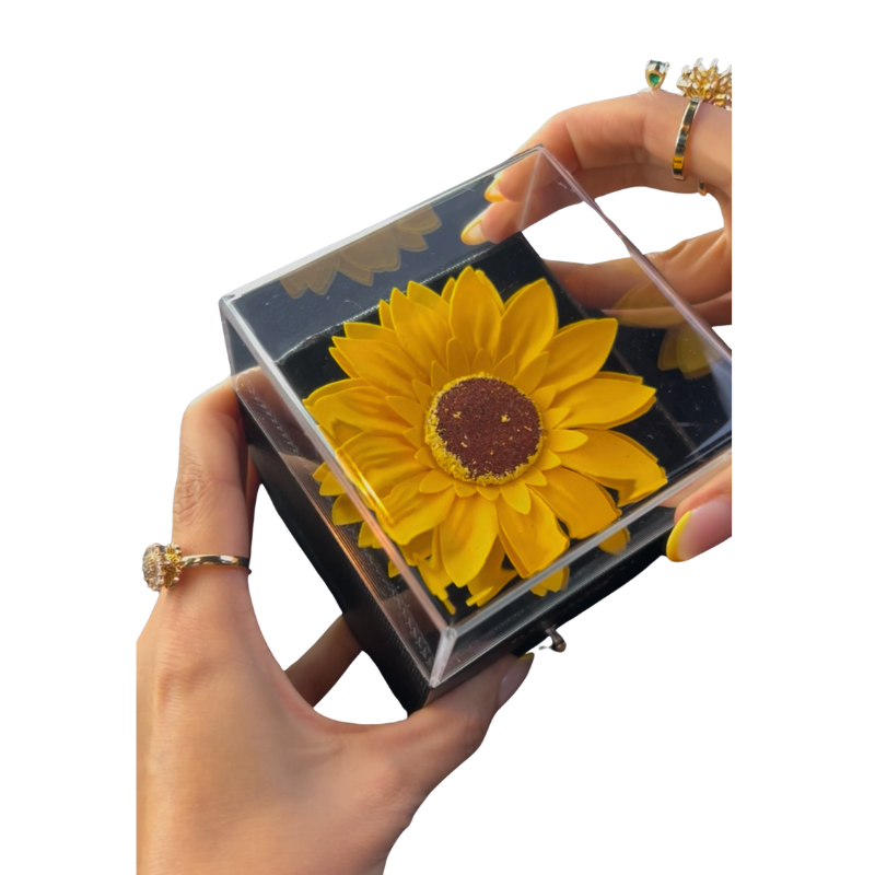 Girasol Primaveral - Imagen 2