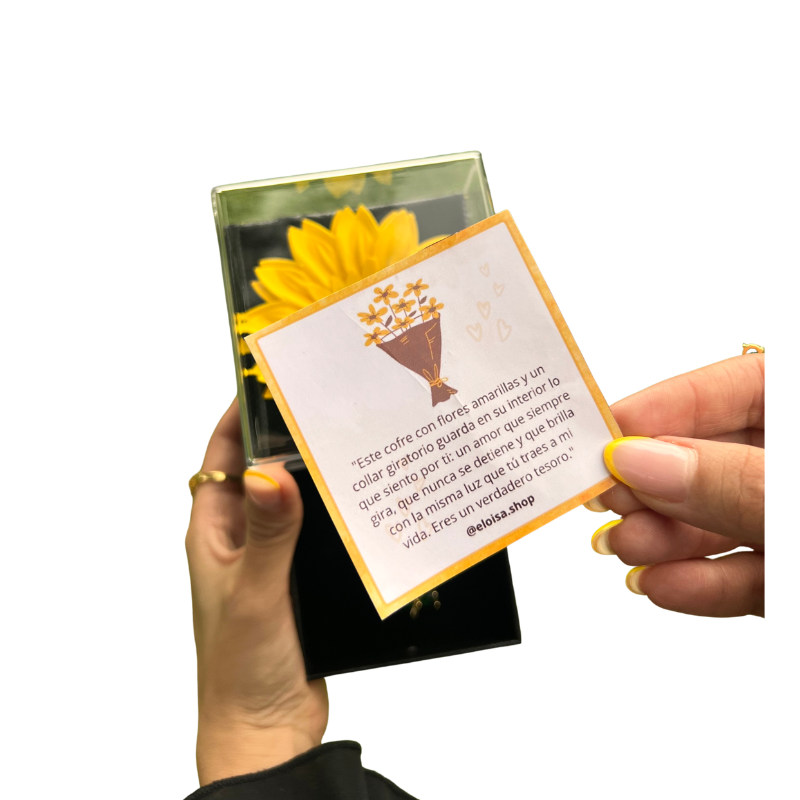 Girasol Primaveral - Imagen 3